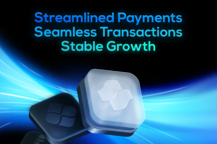 Branding and Website for Payment Orchestration Platform Stream screenshot 2