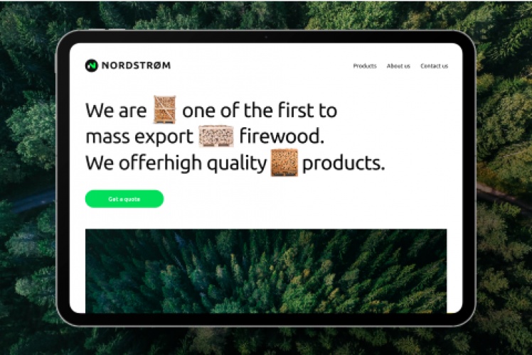 Branding and Corporate Website for Nordstrom  screenshot 2