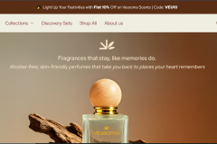 E-Commerce Website Development 