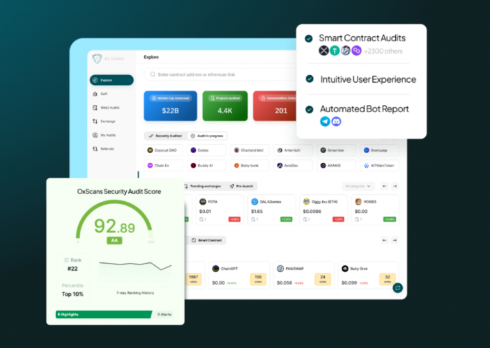 Smart Contract Auditor screenshot 1