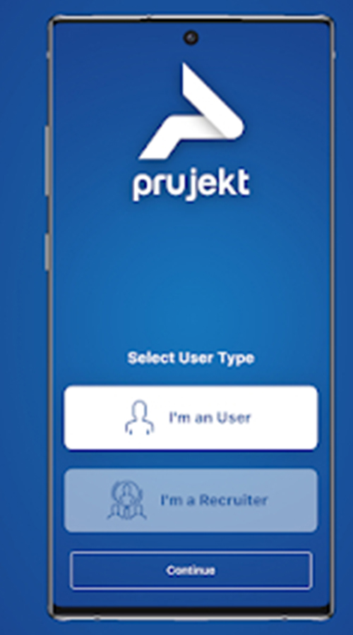 Prujekt screenshot 1