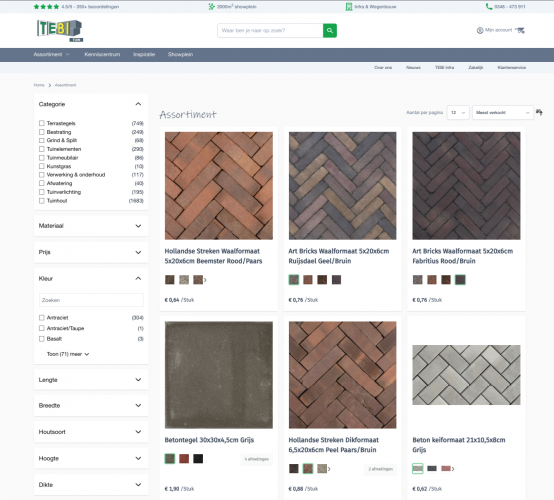 Tebi Building a Scalable Magento E-Commerce Platform with ERP screenshot 3