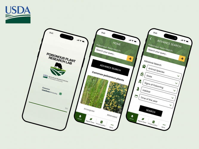 USDA Poisonous Plant Directory CMS App screenshot 1