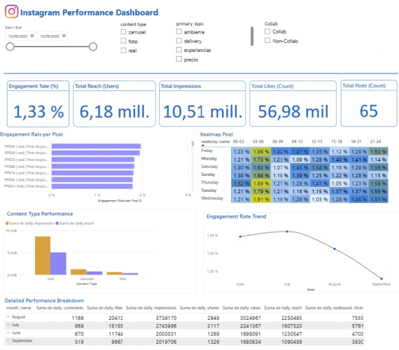 Instagram Performance & Audience Dashboard screenshot 1