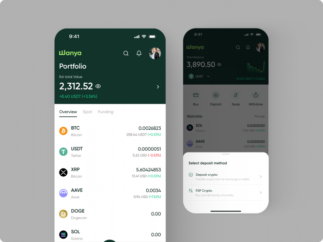 Wanya: Digital Wallet & Cross-Border Payments App screenshot 1