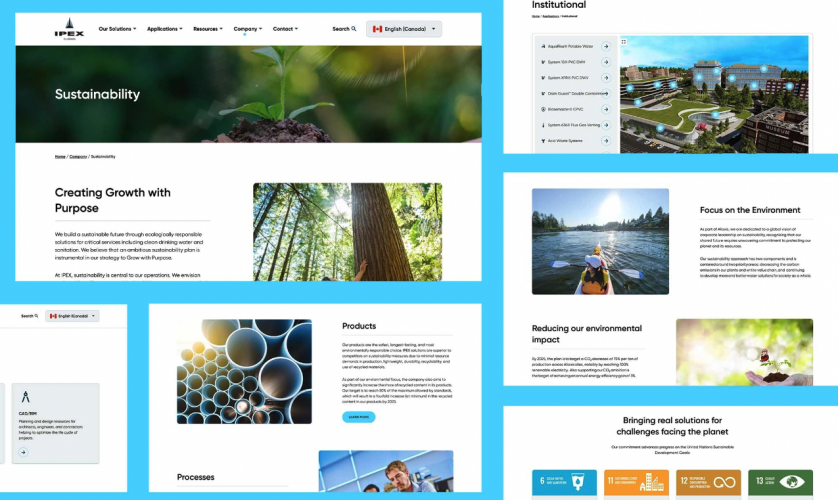 IPEX: How improved accessibility and dual-user journeys led to a 611% increase in web leads screenshot 3