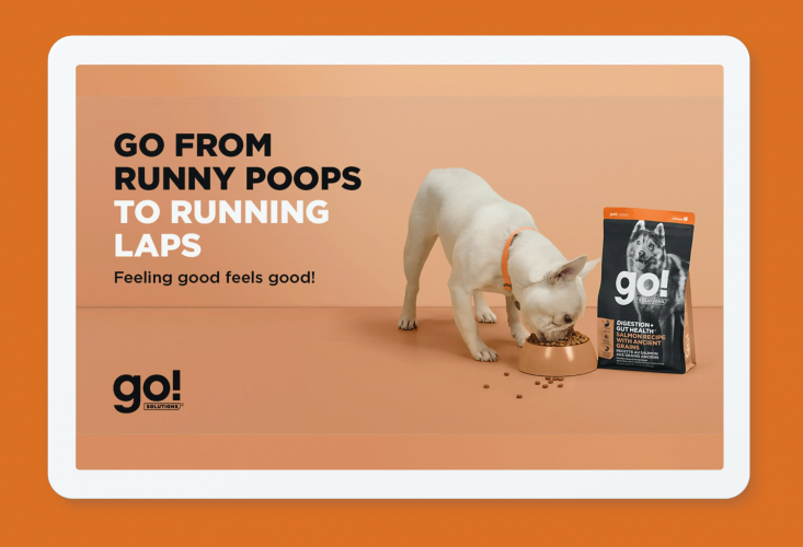 Petcurean: How a targeted paid media campaign resulted in industry-leading performance screenshot 1