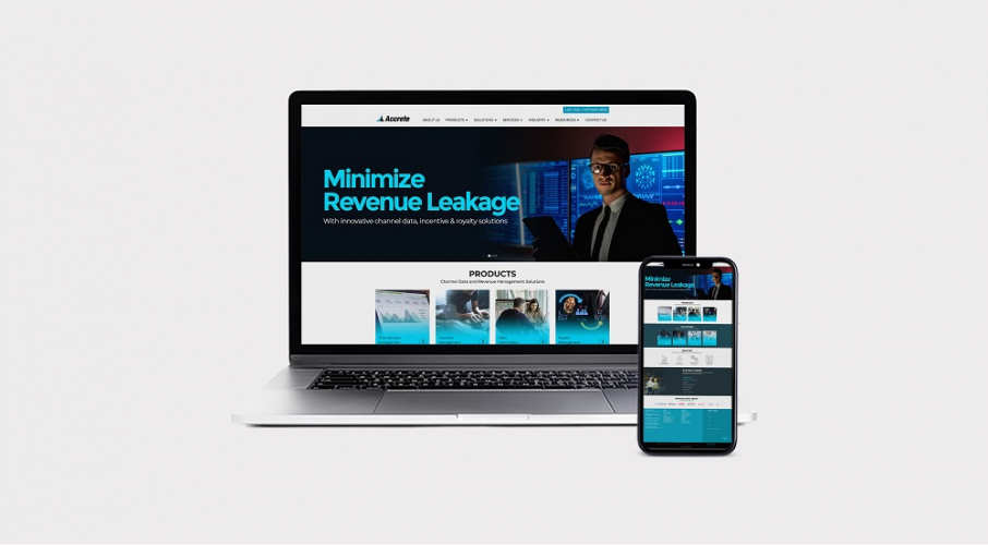 Website design & development for Accrete Consulting Solutions screenshot 1