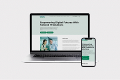 Website design for Constellation-gc