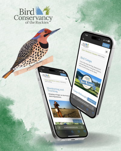 Nonprofit Bird Conservancy screenshot 2