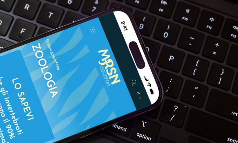 Regional Museum of Natural Sciences of Turin screenshot 2