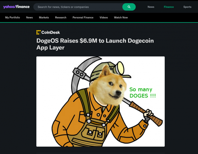 DogeOS — Assistance with Investment Round, Consulting screenshot 3