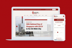 Modern Platform for a Cross-Border Chamber