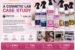 PERFORMANCE-DRIVEN E-COMMERCE: A COSMETIC LAB CASE STUDY