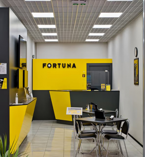 AI solution that saves Fortuna 94% in costs and thousands of hours of work screenshot 1