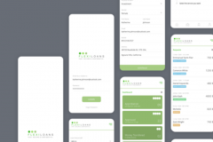 FLEXILOANS : Fast, Secure, Easy Loans