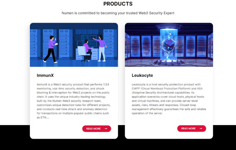 Numen Cyber Website screenshot 3