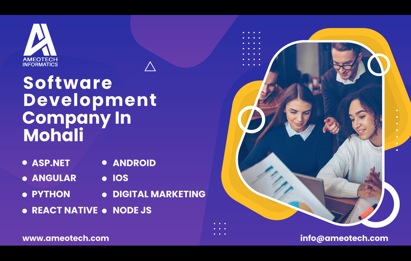 Software Development Company In Mohali | Ameotech Informatics screenshot 1