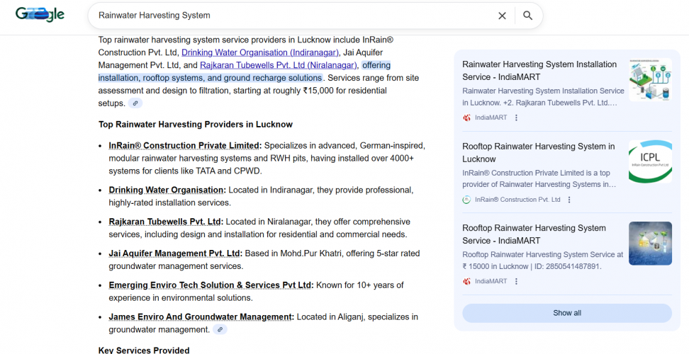 SEO Optimization Project for InRainWaterHarvesting screenshot 1