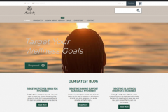 Shopify Store Layout Optimization & Theme Customization