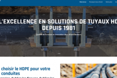 WordPress Website Development & Duplicate Site