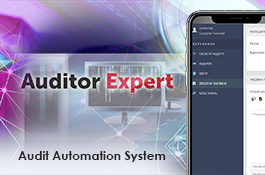 Auditor Expert, Government