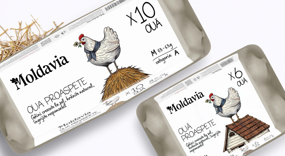 Moldavia | Narrative Packaging Design & Brand Identity screenshot 5