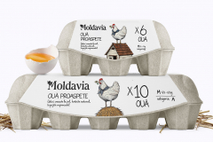 Moldavia | Narrative Packaging Design & Brand Identity