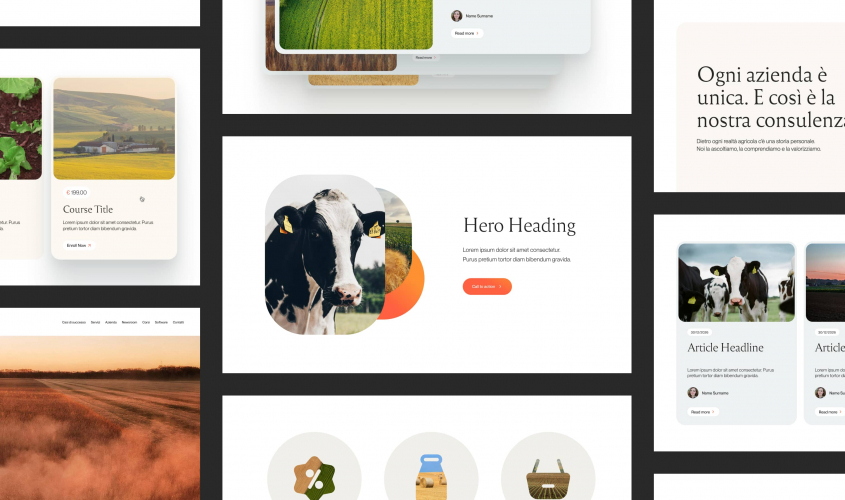 A rural brand for the digital age screenshot 4