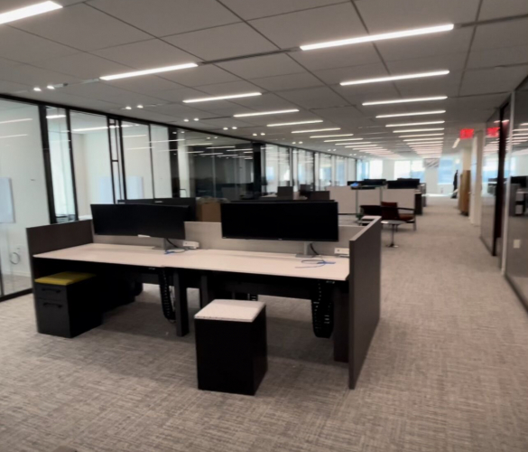 Enterprise Workstation Deployment & IT Infrastructure Setup screenshot 1