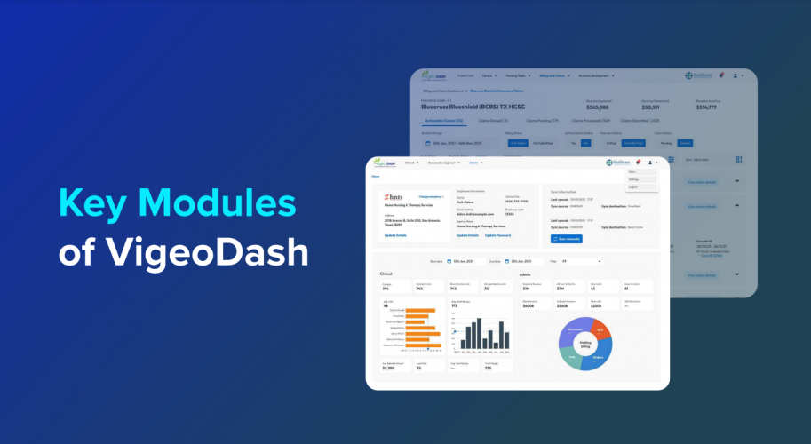 VigeoDash screenshot 1