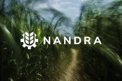 Nandra: Brand Identity & Website for B2B Agriculture