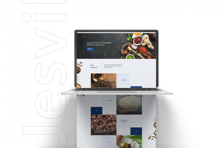 Website Developed Import Export trading Company screenshot 1