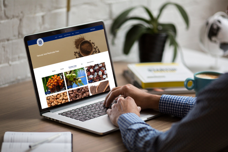 Website Developed Import Export trading Company screenshot 3