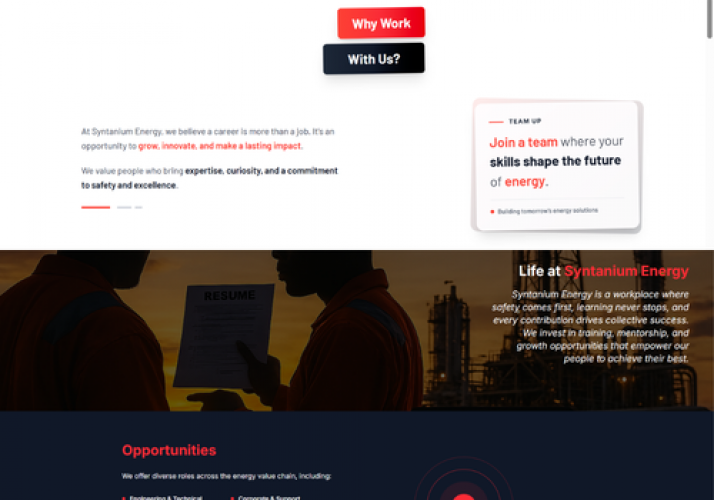 Corporate Website for Oil & Gas Engineering Firm screenshot 1