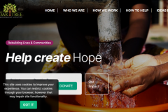 Nonprofit Platform for Community Development NGO