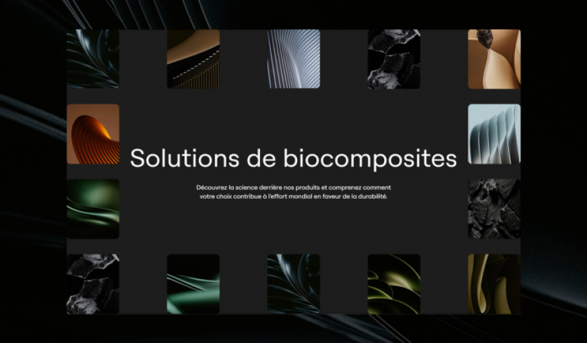 Saproterra — Website Development screenshot 3