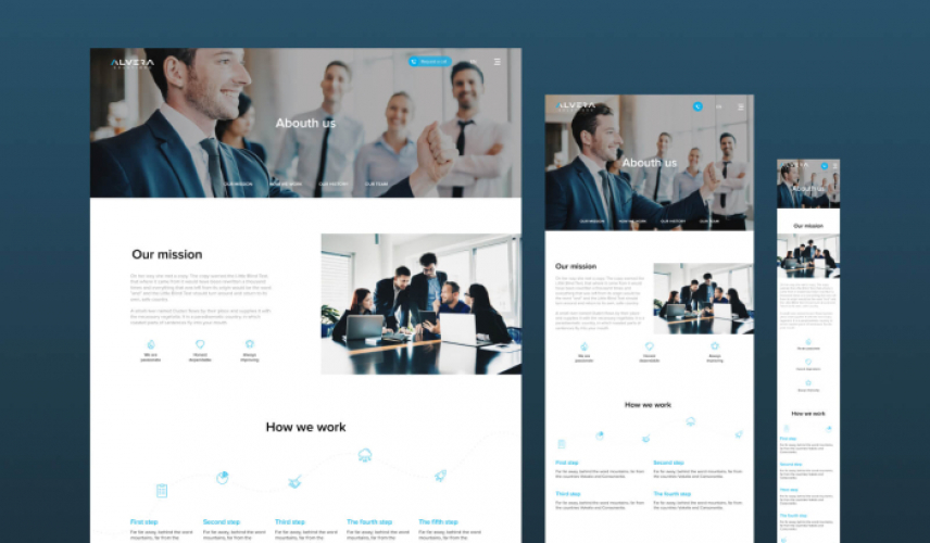 Alvera Solutions — Website Development screenshot 3
