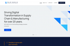 Blue Marlin consulting group