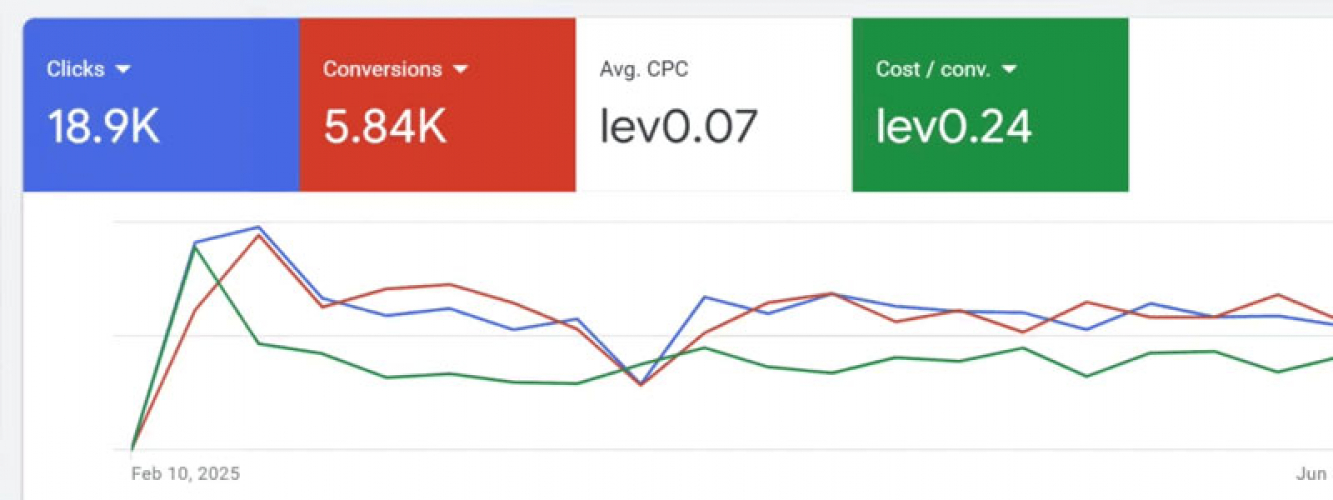 B2B Agricultural Growth via AI & Google Ads screenshot 4