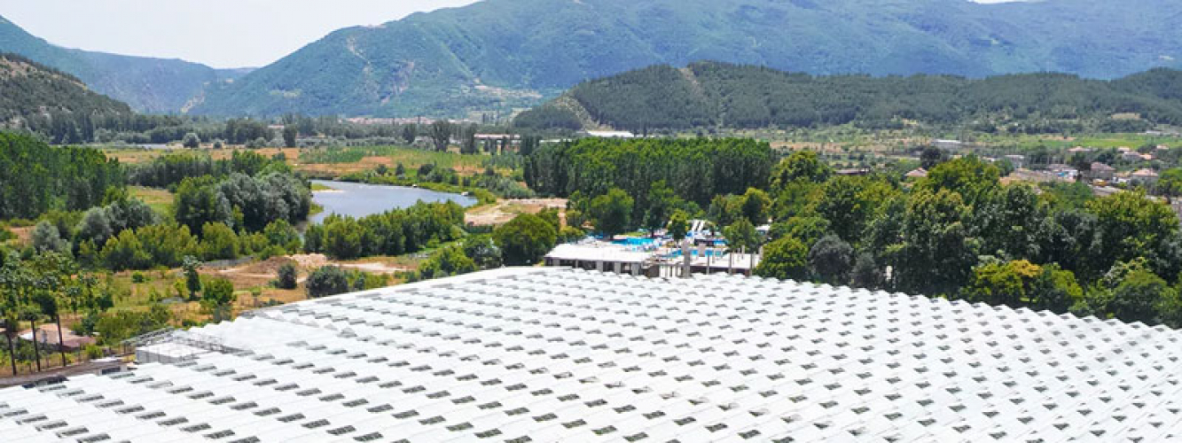 B2B Agricultural Growth via AI & Google Ads screenshot 3