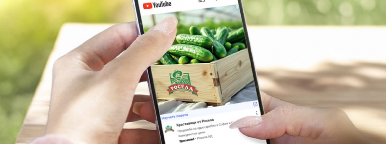 B2B Agricultural Growth via AI & Google Ads screenshot 2