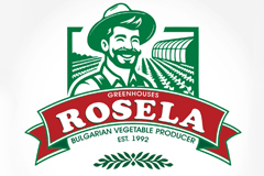 B2B Agricultural Growth via AI & Google Ads