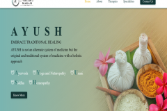 Healthcare Website Development for Naz Sal's Makam 