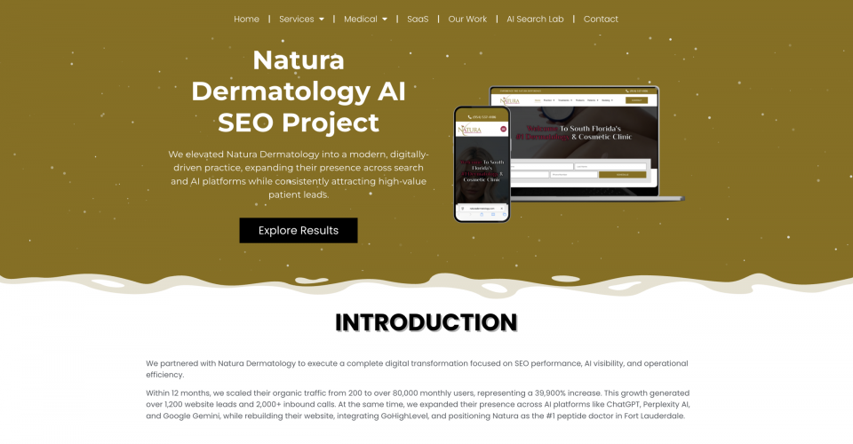 Natura Dermatology AI SEO Project screenshot 1