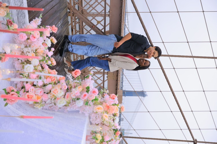 Brooklyn bridge engagement screenshot 1