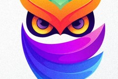 Iconic Owl Logo Design