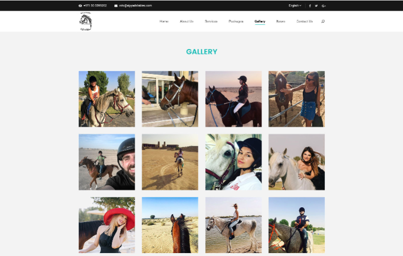 Al Jiyad Stables screenshot 4