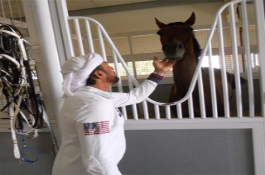 Al Jiyad Stables