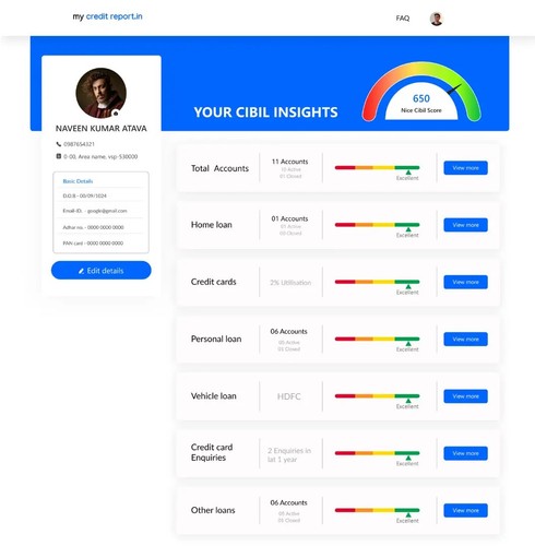 Credit Report screenshot 1